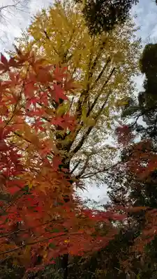 長岡天満宮(京都府)