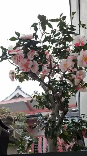 誓願寺(京都府)