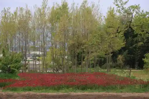 藤稲荷神社の周辺