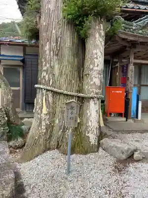 鳴谷神社(三重県)
