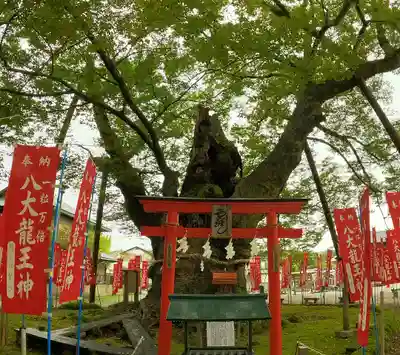 秩父今宮神社(埼玉県)
