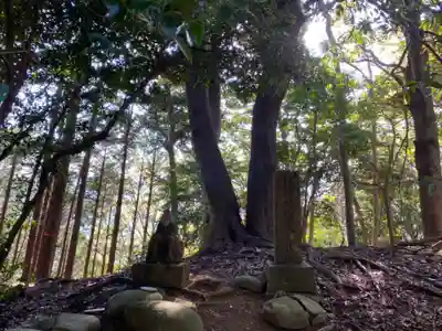 白山神社の自然