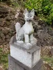 東山稲荷神社の狛犬