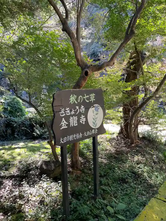 金龍寺(群馬県)