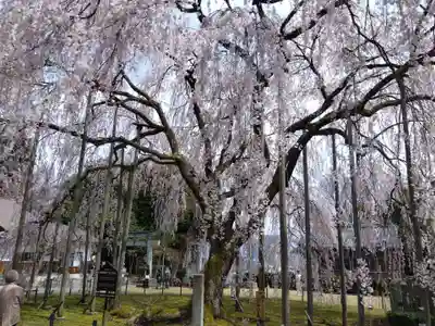 足羽神社(福井県)