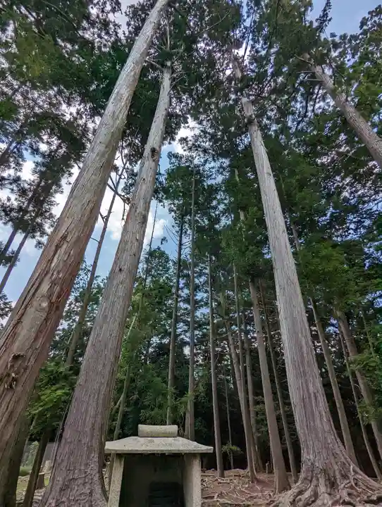 鞍馬寺(京都府)