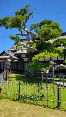 圓鏡寺(岐阜県)