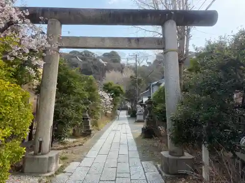 五所神社の{uncategorized: "未分類", other: "その他", undefined: "問題あり", building: "その他建物", grave: "お墓", sacred_gate: "鳥居", guardian: "狛犬", statue: "像", buddha: "仏像", history: "歴史", nature: "自然", garden: "庭園", animal: "動物", pagoda: "塔", temizu: "手水舎", mountain_gate: "山門・神門", sanctuary: "本殿・本堂", subordinate: "末社・摂社", art: "芸術", scenery: "景色", jizo: "地蔵", ema: "絵馬", goshuin: "御朱印", omikuji: "おみくじ", items: "授与品その他", amulet: "お守り", goshuincho: "御朱印帳", eats: "食事", festival: "お祭り", votive_dance: "神楽", shichigosan: "七五三参", wedding: "結婚式", experience: "体験その他", initially: "初詣", around: "周辺", anti_infection: "感染症対策"}