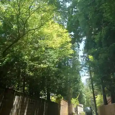 高野山金剛峯寺(和歌山県)