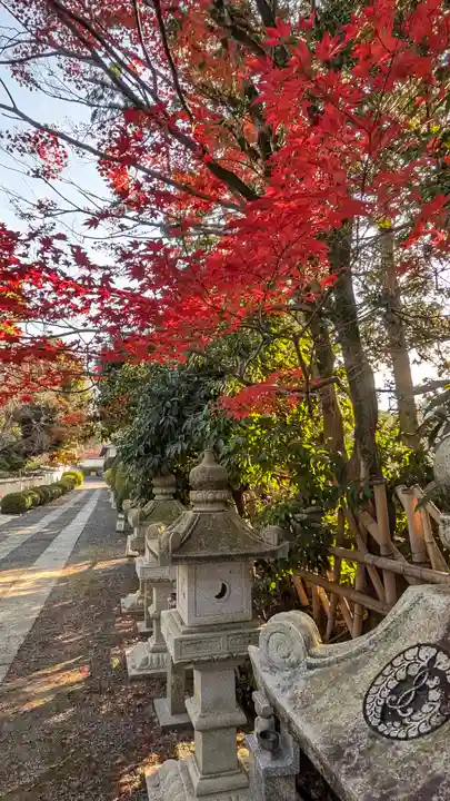 隨心院(随心院)(京都府)