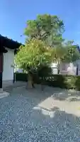本元寺の{uncategorized: "未分類", other: "その他", undefined: "問題あり", building: "その他建物", grave: "お墓", sacred_gate: "鳥居", guardian: "狛犬", statue: "像", buddha: "仏像", history: "歴史", nature: "自然", garden: "庭園", animal: "動物", pagoda: "塔", temizu: "手水舎", mountain_gate: "山門・神門", sanctuary: "本殿・本堂", subordinate: "末社・摂社", art: "芸術", scenery: "景色", jizo: "地蔵", ema: "絵馬", goshuin: "御朱印", omikuji: "おみくじ", items: "授与品その他", amulet: "お守り", goshuincho: "御朱印帳", eats: "食事", festival: "お祭り", votive_dance: "神楽", shichigosan: "七五三参", wedding: "結婚式", experience: "体験その他", initially: "初詣", around: "周辺", anti_infection: "感染症対策"}