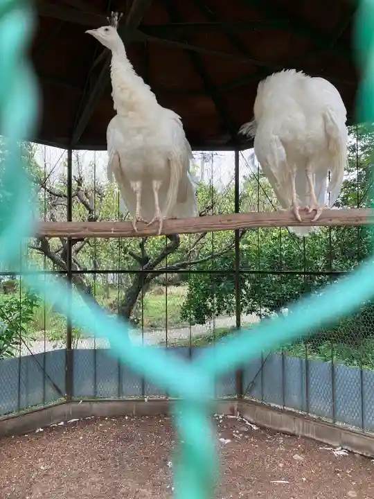富士浅間神社(群馬県)