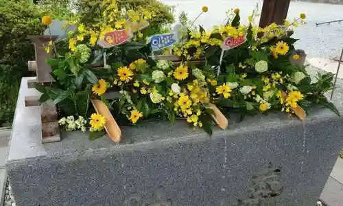 豊景神社の手水