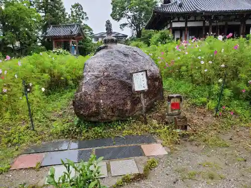 般若寺 ❁﻿コスモス寺❁のその他建物