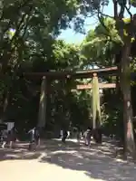 明治神宮の鳥居