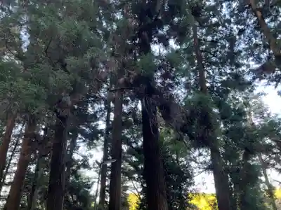 大宮温泉神社(栃木県)