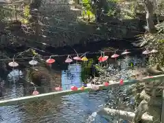 玉泉寺の建物その他