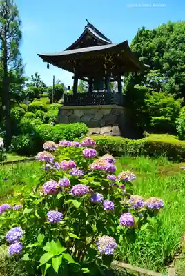 天台宗　長窪山　正覚寺(神奈川県)