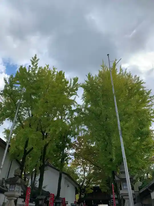 石切劔箭神社の自然