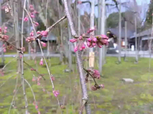 足羽神社(福井県)