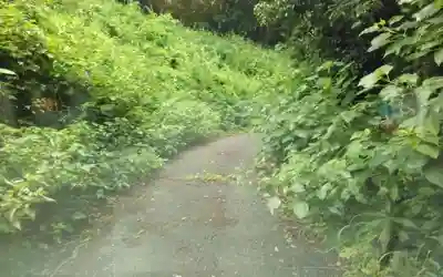 玉雲寺(静岡県)