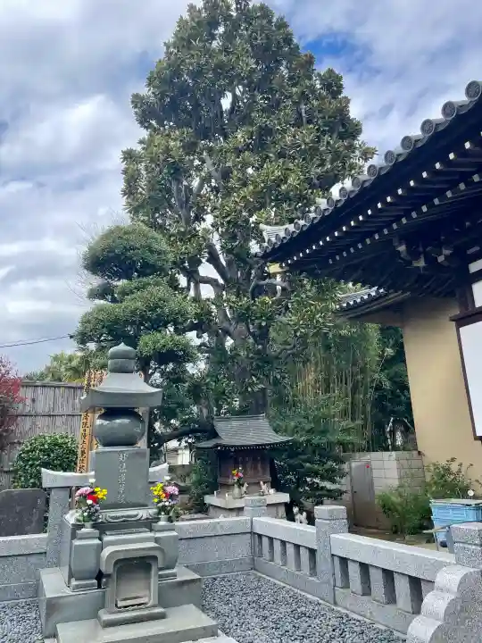 法真寺の{uncategorized: "未分類", other: "その他", undefined: "問題あり", building: "その他建物", grave: "お墓", sacred_gate: "鳥居", guardian: "狛犬", statue: "像", buddha: "仏像", history: "歴史", nature: "自然", garden: "庭園", animal: "動物", pagoda: "塔", temizu: "手水舎", mountain_gate: "山門・神門", sanctuary: "本殿・本堂", subordinate: "末社・摂社", art: "芸術", scenery: "景色", jizo: "地蔵", ema: "絵馬", goshuin: "御朱印", omikuji: "おみくじ", items: "授与品その他", amulet: "お守り", goshuincho: "御朱印帳", eats: "食事", festival: "お祭り", votive_dance: "神楽", shichigosan: "七五三参", wedding: "結婚式", experience: "体験その他", initially: "初詣", around: "周辺", anti_infection: "感染症対策"}