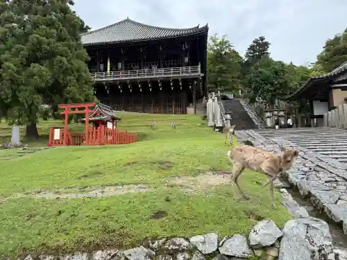 東大寺 二月堂の{uncategorized: "未分類", other: "その他", undefined: "問題あり", building: "その他建物", grave: "お墓", sacred_gate: "鳥居", guardian: "狛犬", statue: "像", buddha: "仏像", history: "歴史", nature: "自然", garden: "庭園", animal: "動物", pagoda: "塔", temizu: "手水舎", mountain_gate: "山門・神門", sanctuary: "本殿・本堂", subordinate: "末社・摂社", art: "芸術", scenery: "景色", jizo: "地蔵", ema: "絵馬", goshuin: "御朱印", omikuji: "おみくじ", items: "授与品その他", amulet: "お守り", goshuincho: "御朱印帳", eats: "食事", festival: "お祭り", votive_dance: "神楽", shichigosan: "七五三参", wedding: "結婚式", experience: "体験その他", initially: "初詣", around: "周辺", anti_infection: "感染症対策"}