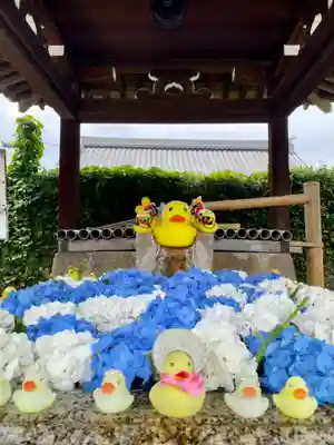 くろ谷 金戒光明寺の手水舎