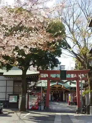 須賀神社の鳥居