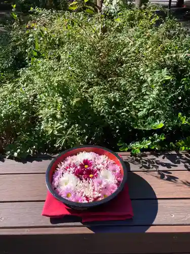 増上寺塔頭 三縁山 宝珠院の手水舎