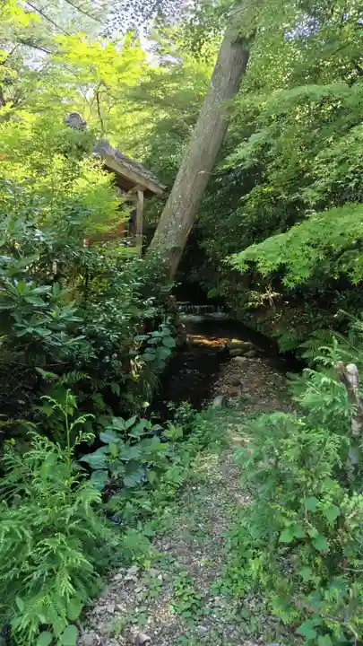 鍬山神社の自然