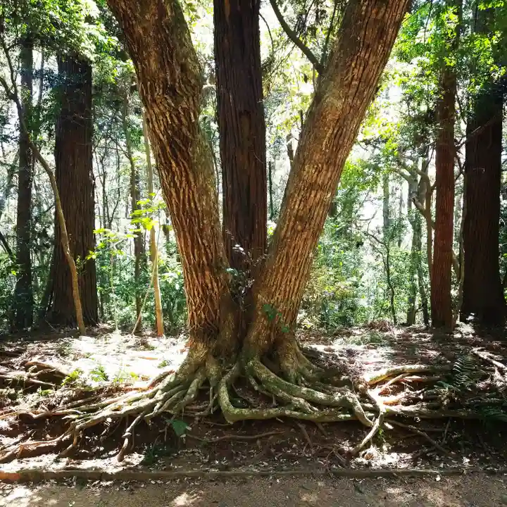 鹿島神宮の自然