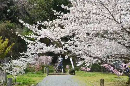 吉備津彦神社(岡山県)
