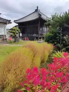 金蓮寺のその他建物