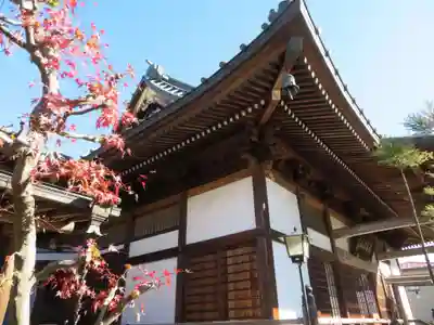 善願寺(栃木県)