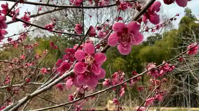 永福寺　童子堂(埼玉県)