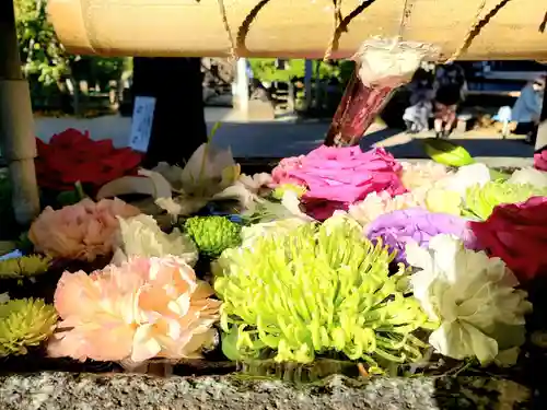 鳩森八幡神社の手水舎