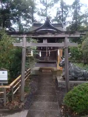 白岡八幡神社(埼玉県)