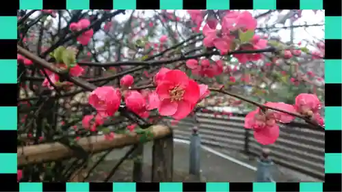 冠稲荷神社(群馬県)