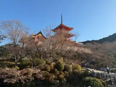 清水寺(京都府)