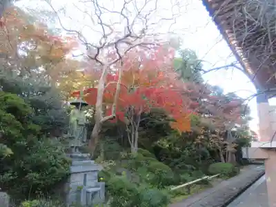 正覚院(東京都)