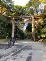 明治神宮の鳥居