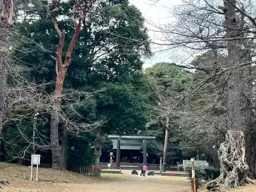 埼玉縣護國神社(埼玉県)
