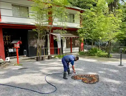 來宮神社(静岡県)