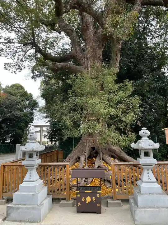 和泉國一之宮 大鳥大社の{uncategorized: "未分類", other: "その他", undefined: "問題あり", building: "その他建物", grave: "お墓", sacred_gate: "鳥居", guardian: "狛犬", statue: "像", buddha: "仏像", history: "歴史", nature: "自然", garden: "庭園", animal: "動物", pagoda: "塔", temizu: "手水舎", mountain_gate: "山門・神門", sanctuary: "本殿・本堂", subordinate: "末社・摂社", art: "芸術", scenery: "景色", jizo: "地蔵", ema: "絵馬", goshuin: "御朱印", omikuji: "おみくじ", items: "授与品その他", amulet: "お守り", goshuincho: "御朱印帳", eats: "食事", festival: "お祭り", votive_dance: "神楽", shichigosan: "七五三参", wedding: "結婚式", experience: "体験その他", initially: "初詣", around: "周辺", anti_infection: "感染症対策"}
