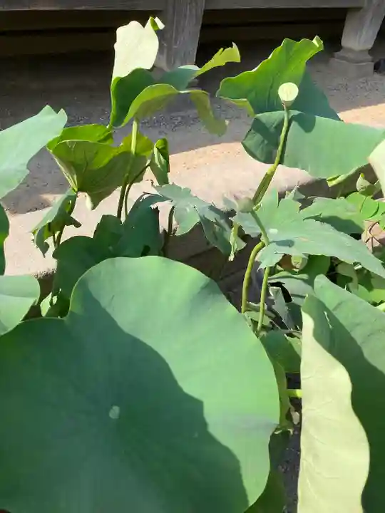 題経寺(柴又帝釈天)(東京都)