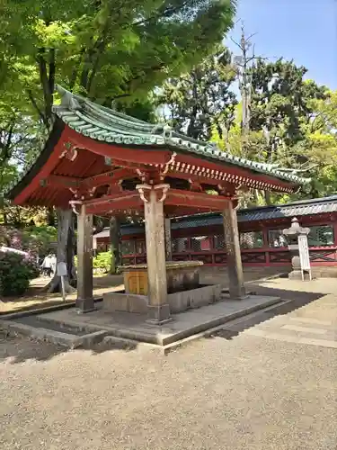 根津神社の手水