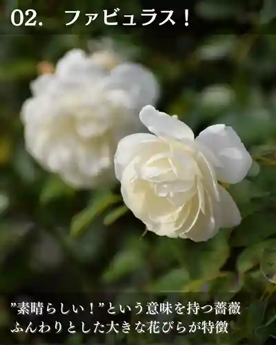 宝光寺(北海道)