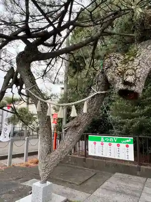 玉村八幡宮(群馬県)
