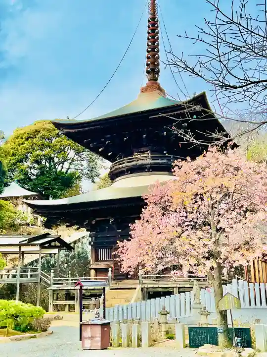 楽法寺(雨引観音)(茨城県)